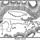 Illustration for article titled The Reservoir That Made the World Pay Attention to California's Drought